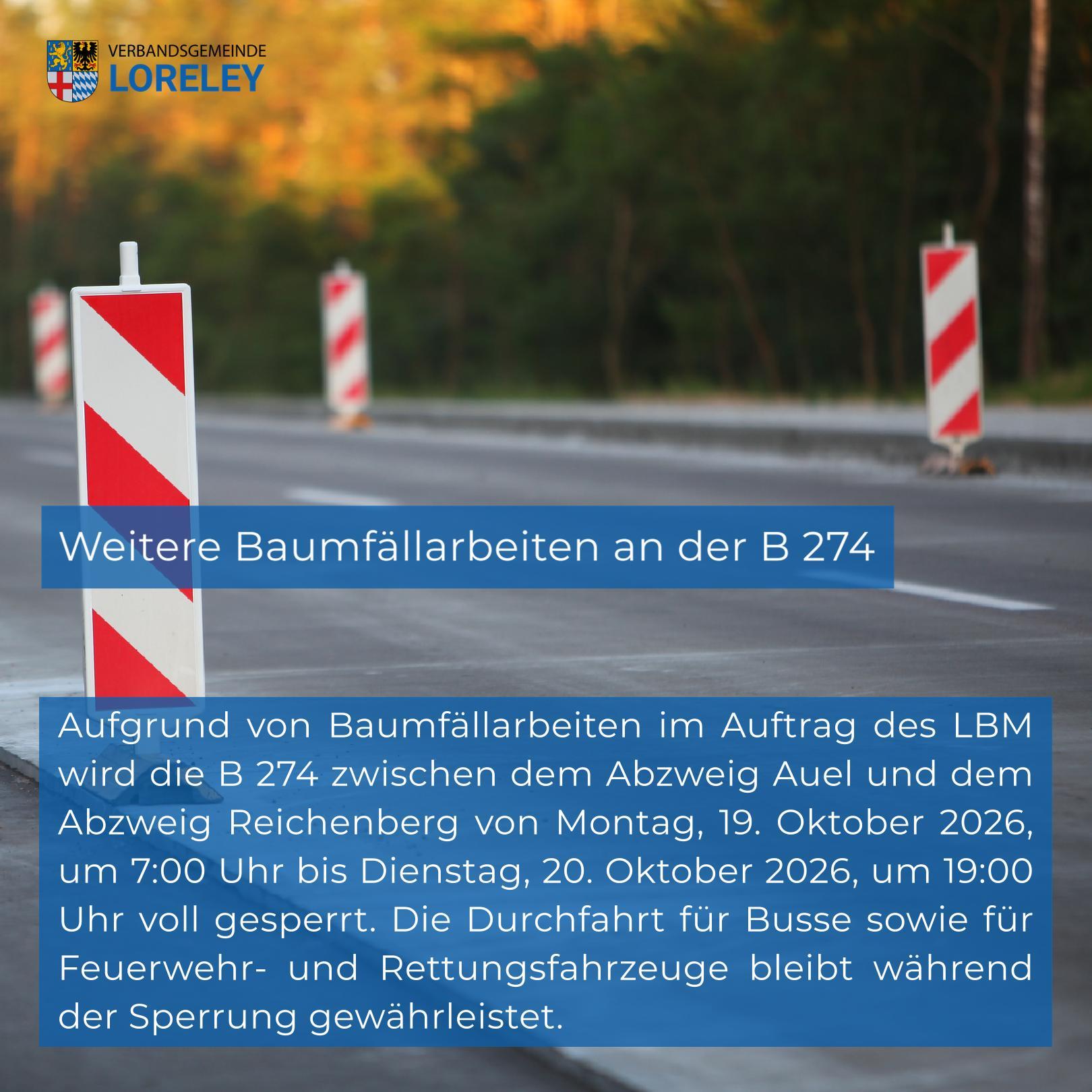 Baumfällarbeiten B 274