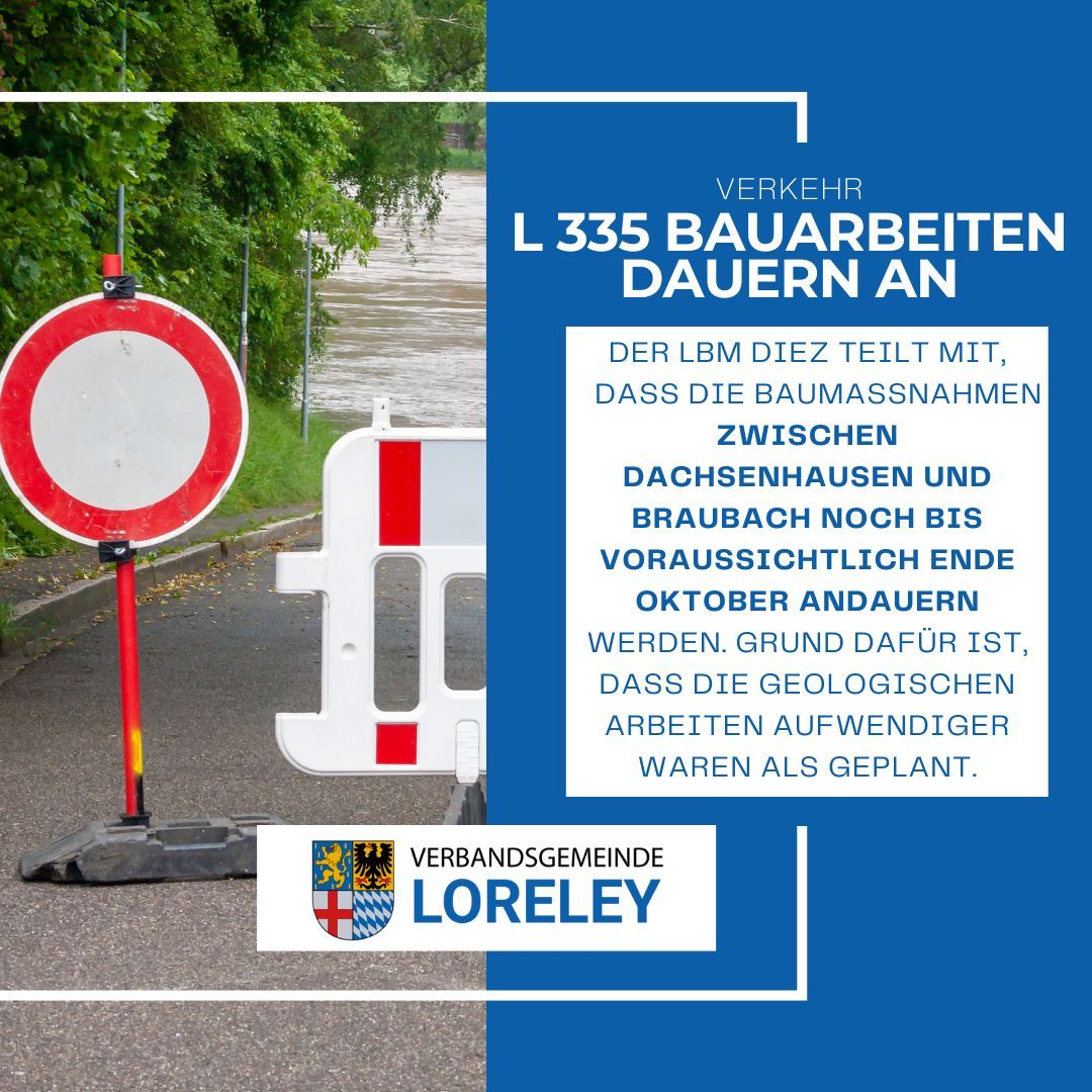 Kopie von Social Media - L 335 Plakat