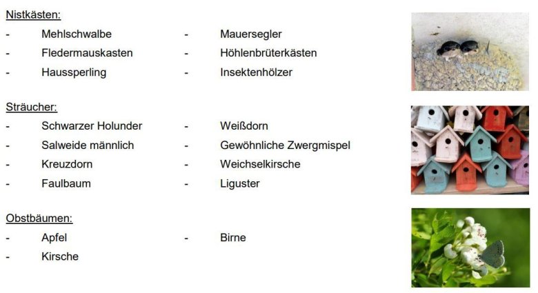 Übersicht Aktion Grüne VG