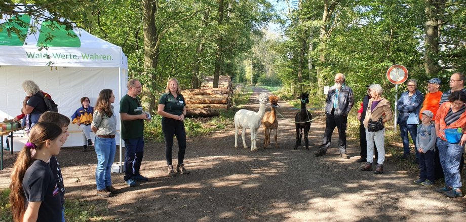 Bürgermeister Mike Weiland und die Leiterin des Forstamts Nastätten Susanne Gühne bei ihrer Begrüßung.