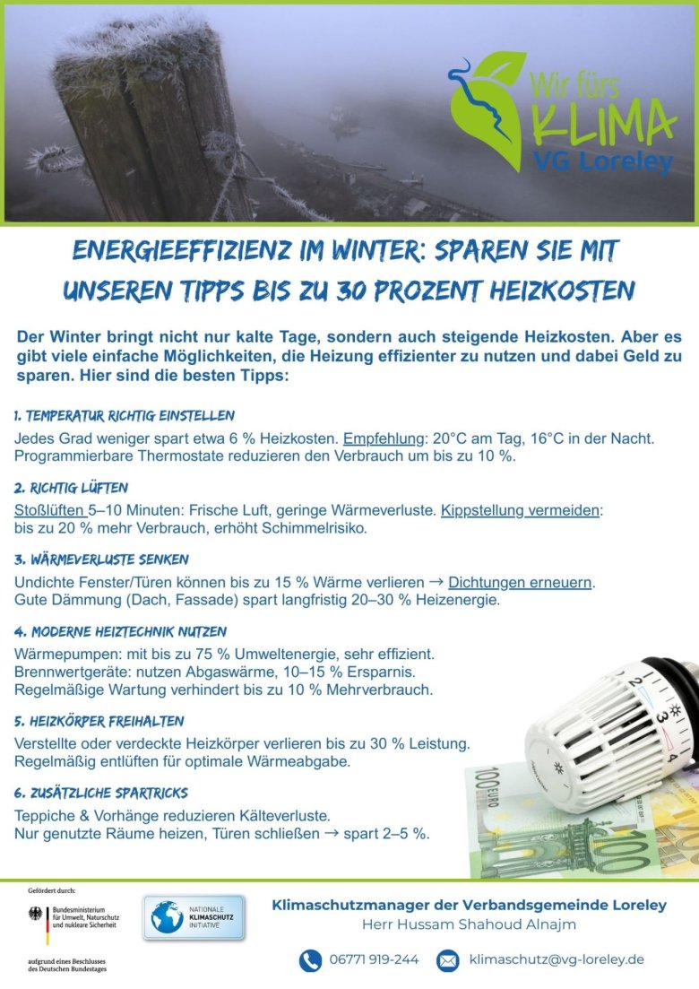 Grüne Seite Heizkosten sparen