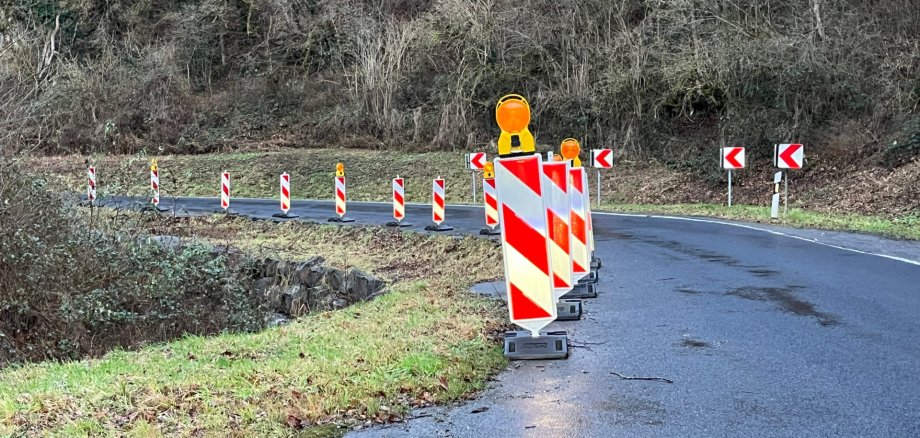 Screenshot digitaler ‚Runder Tisch‘ L 334 im Rahmen einer Videokonferenz, VG Loreley