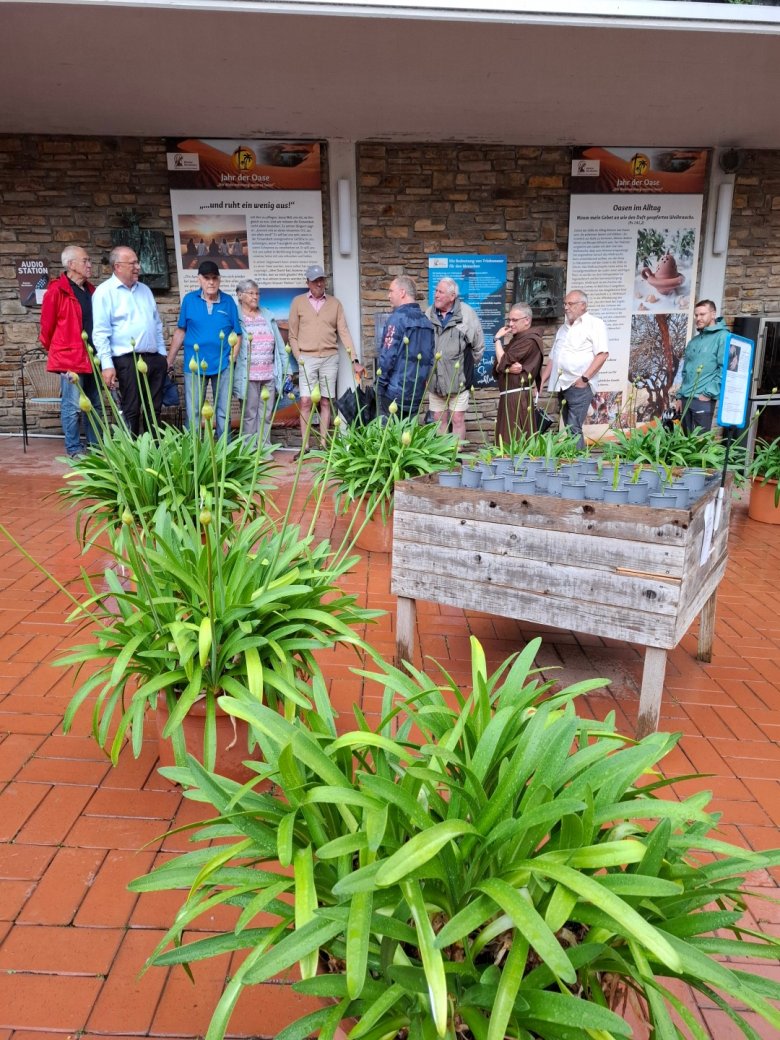 Wildblumenwiese in der Ortsgemeinde Osterspai