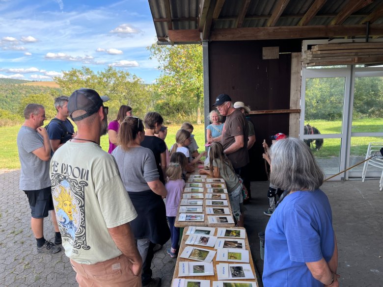 Rätselspiel in Nochern
