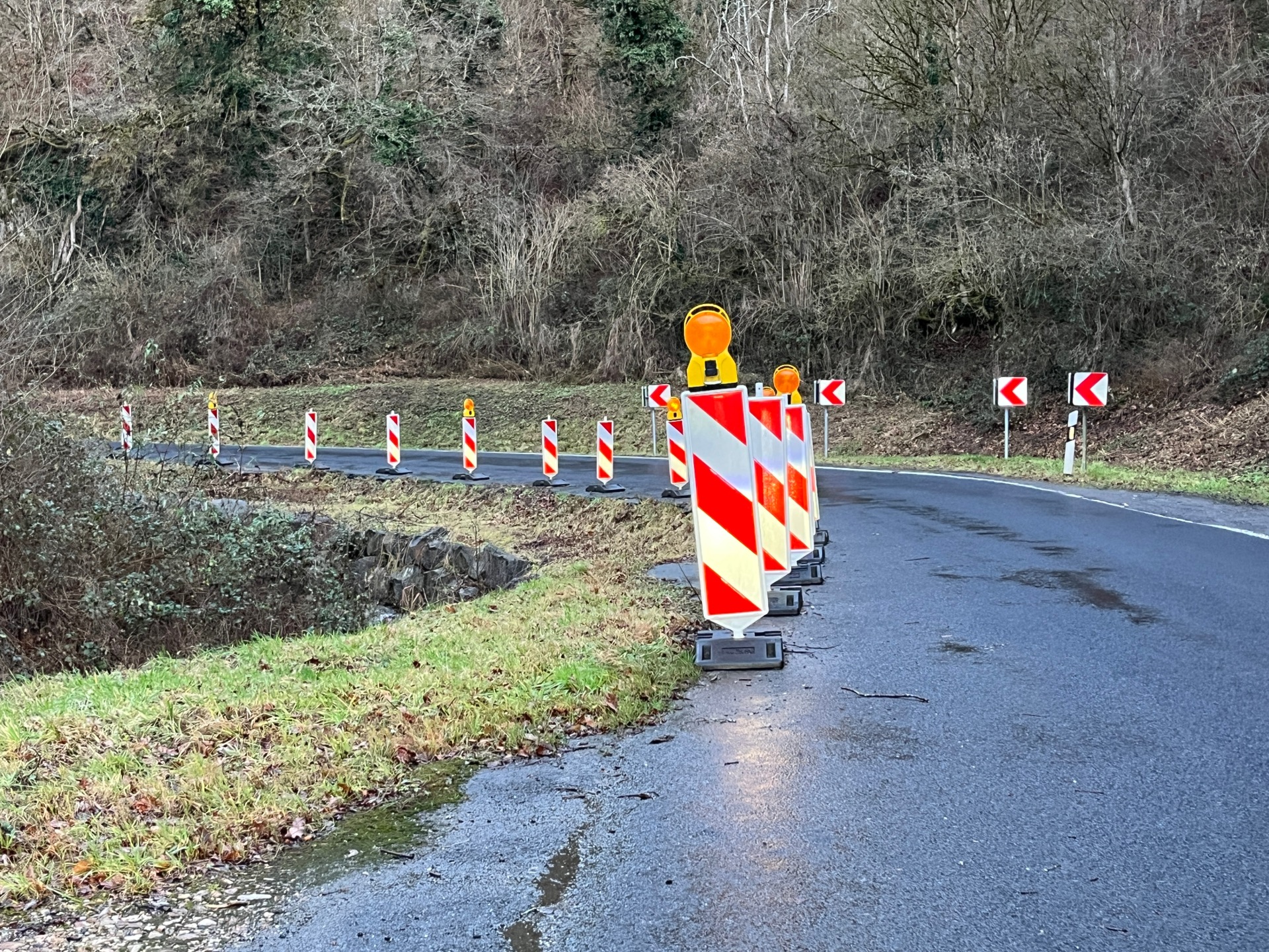 Screenshot digitaler ‚Runder Tisch‘ L 334 im Rahmen einer Videokonferenz, VG Loreley