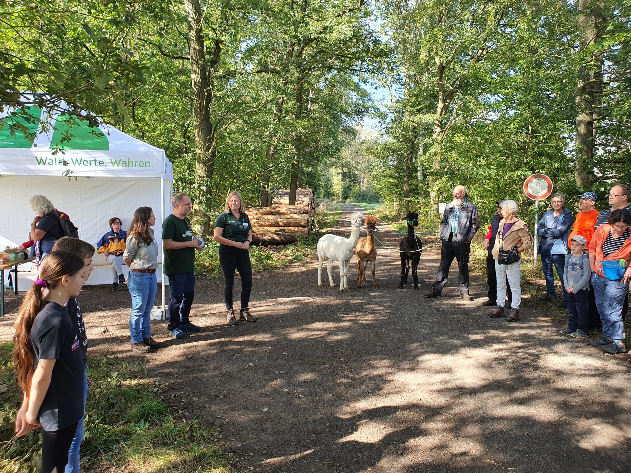 Bürgermeister Mike Weiland und die Leiterin des Forstamts Nastätten Susanne Gühne bei ihrer Begrüßung.
